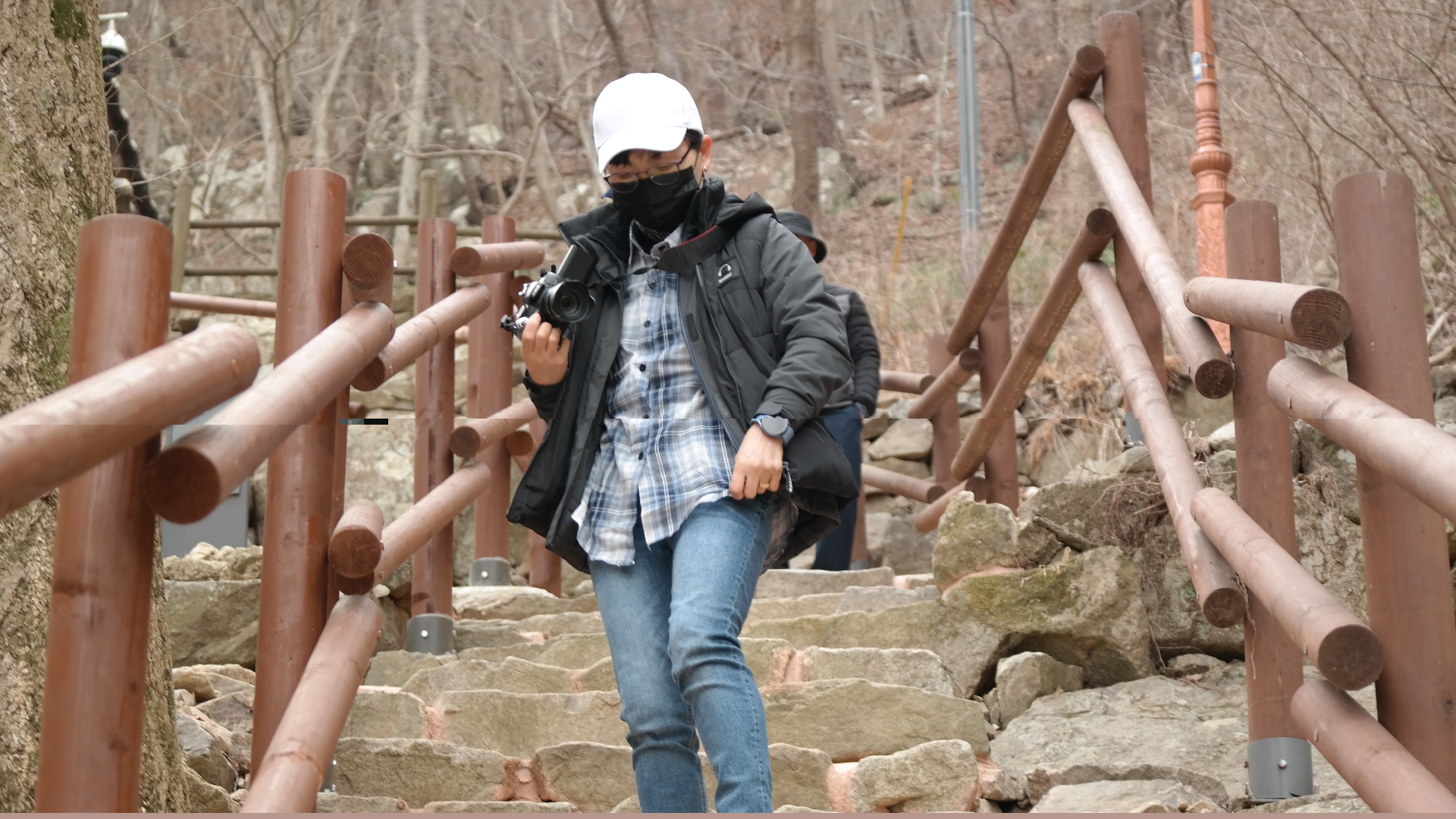 사진